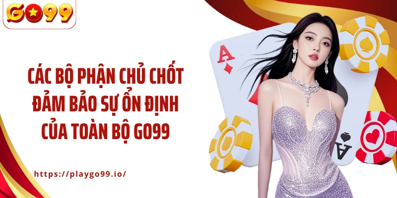 Các bộ phận chủ chốt đảm bảo sự ổn định của toàn bộ GO99